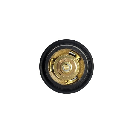 Válvula Termostática Motor Aplicável John Deere - Dz100553